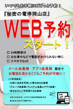 岡山市 デリバリーヘルス 秘密の電停　岡山店