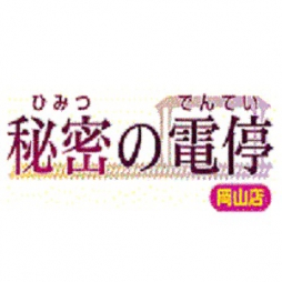 岡山市 デリバリーヘルス 秘密の電停　岡山店