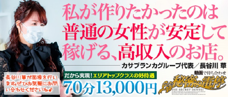 岡山岡山市デリバリーヘルス 秘密の電停　岡山店