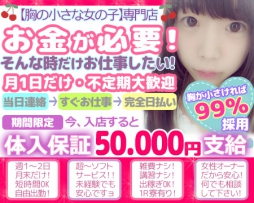 新宿・歌舞伎町 デリバリーヘルス Aカップ微乳女学園 