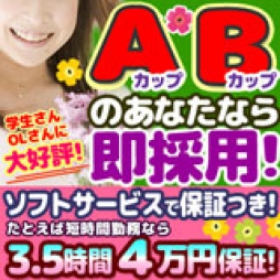 新宿・歌舞伎町 デリバリーヘルス Aカップ微乳女学園 