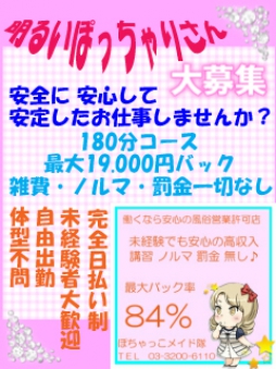 大久保・新大久保 ホテルヘルス ぽちゃっこメイド隊