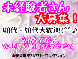 甲府・甲斐・韮崎 人妻デリヘル 山梨人妻デリバリーコレクション