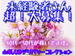 甲府・甲斐・韮崎 人妻デリヘル 山梨人妻デリバリーコレクション