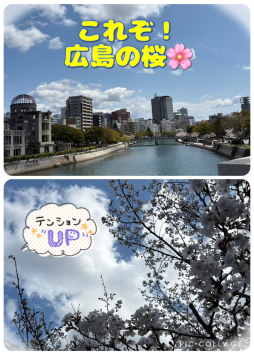  広島市 人妻デリヘル 広島待ち合わせ倶楽部