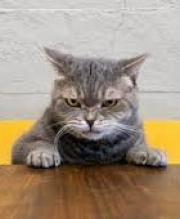 三宮 アロマ・エステ 神戸回春性感マッサージ倶楽部