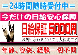 大阪府・北部 人妻デリヘル 女遊屋